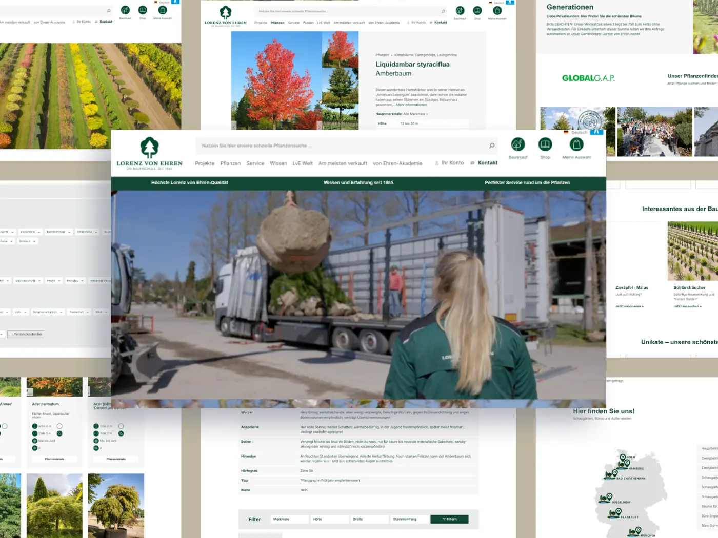 Lorenz von Ehren Shop – Shopware-6-Projekt