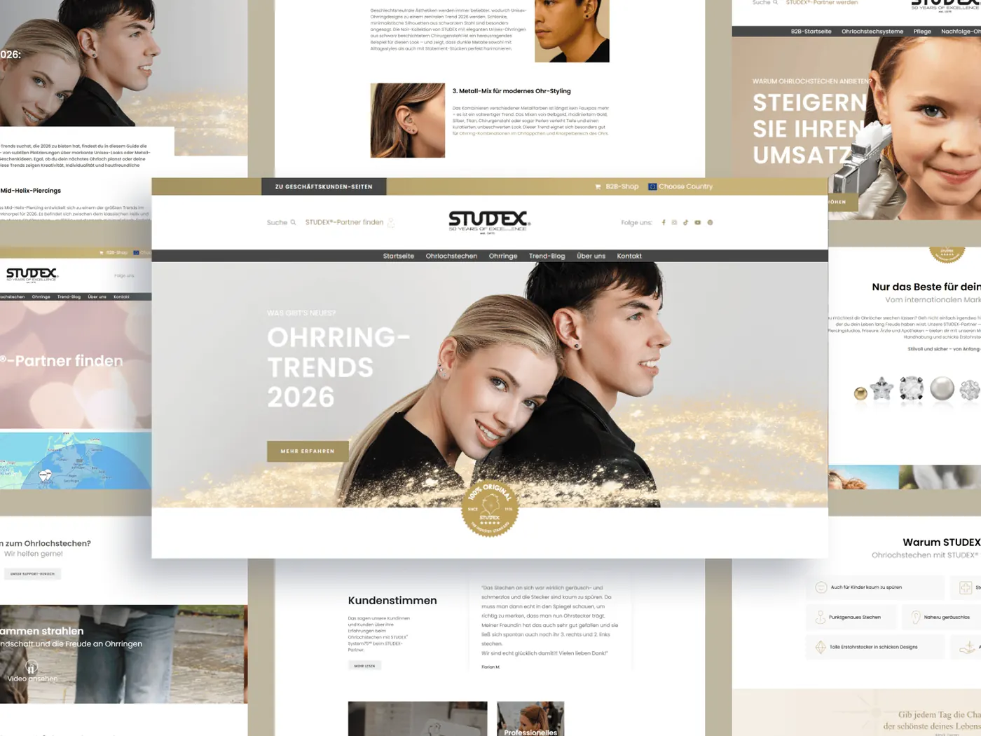 STUDEX Multisite-Netzwerk – WordPress-Multisite-Projekt