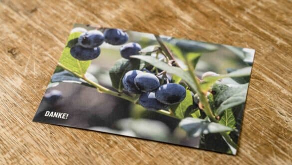 Juckerfarm individuelle Postkarte