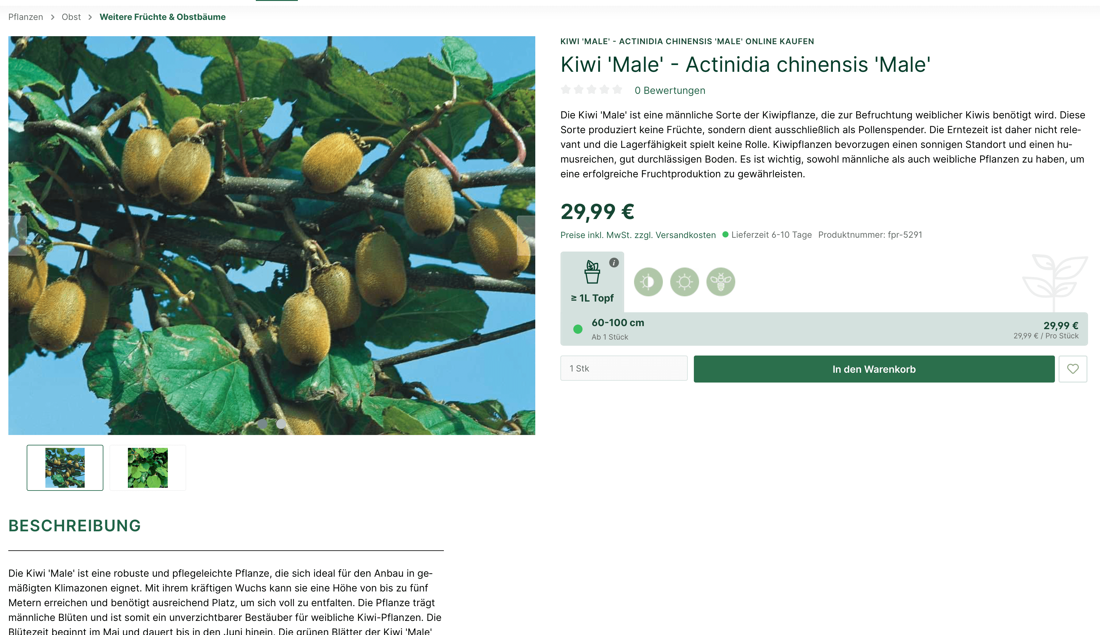Garten von Ehren Variantenauswahl