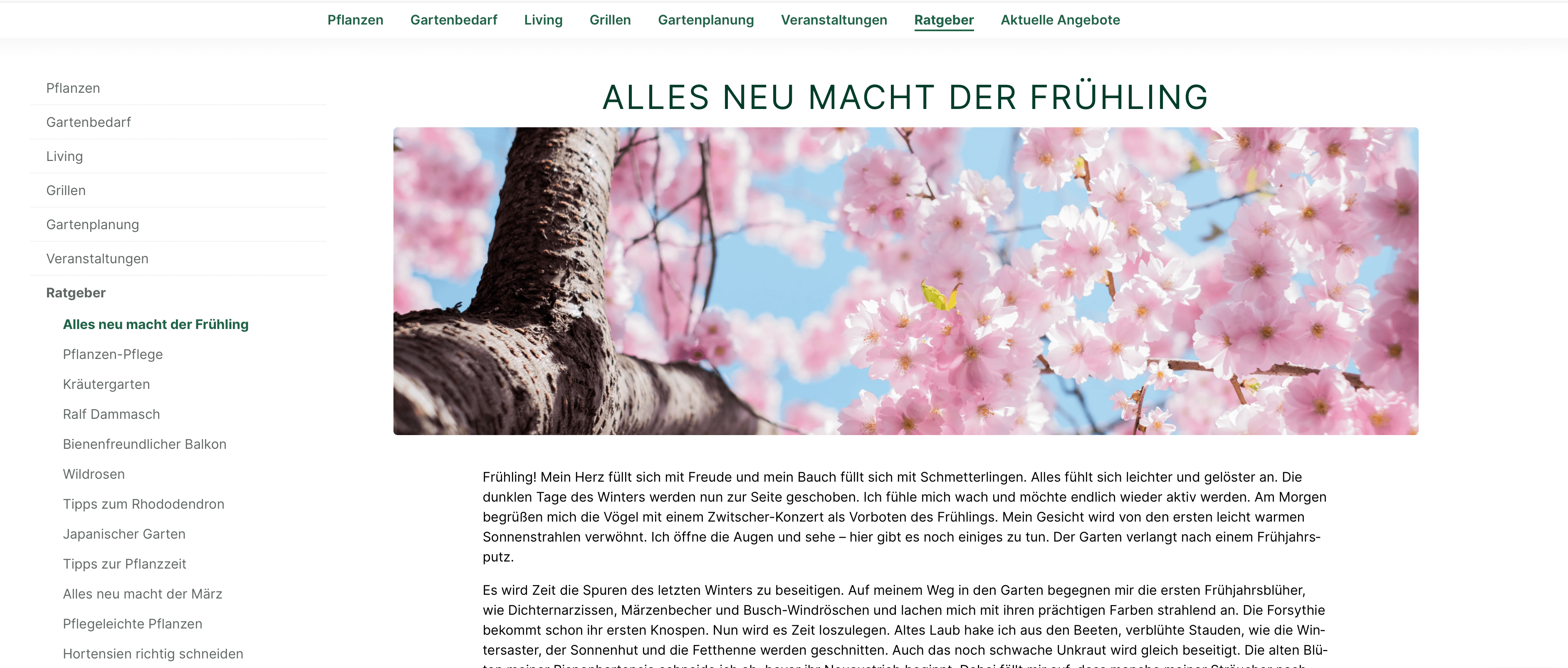 Garten von Ehren Blogbereich