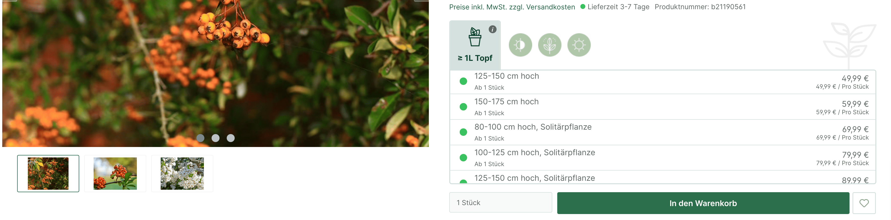 Garten von Ehren Variantenauswahl