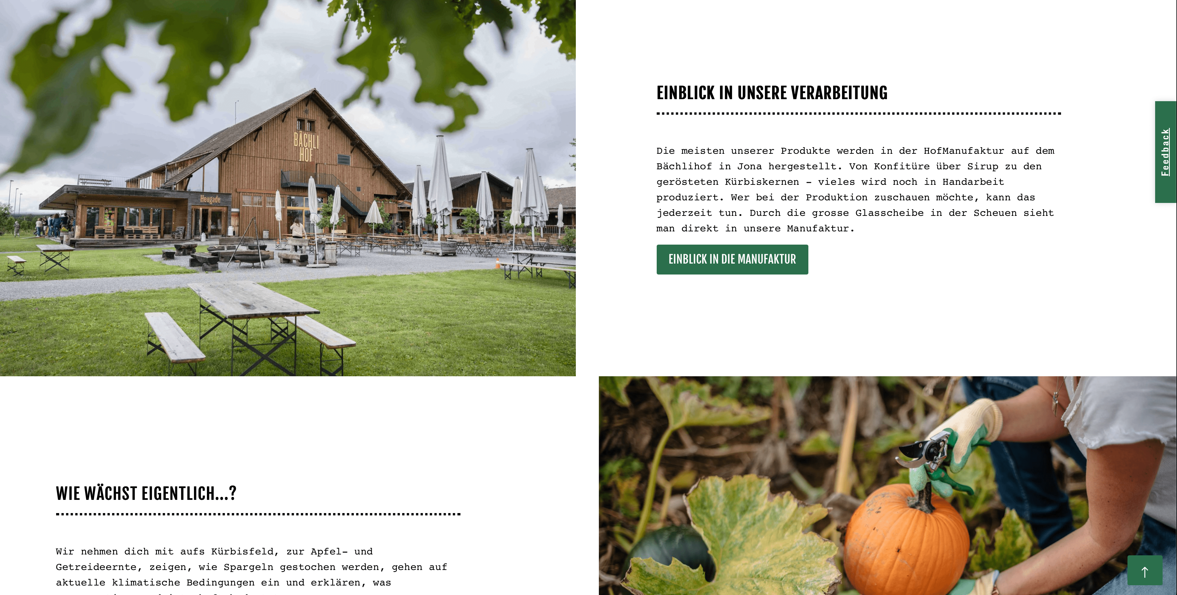 Juckerfarm Blogbereich